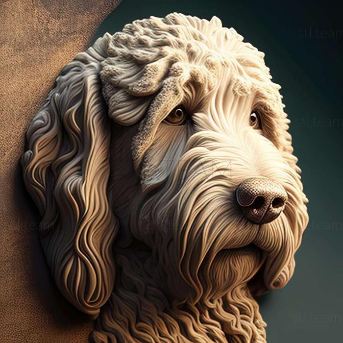 3D model Spanish Water dog (STL)